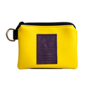 Monedero bandeira intersex